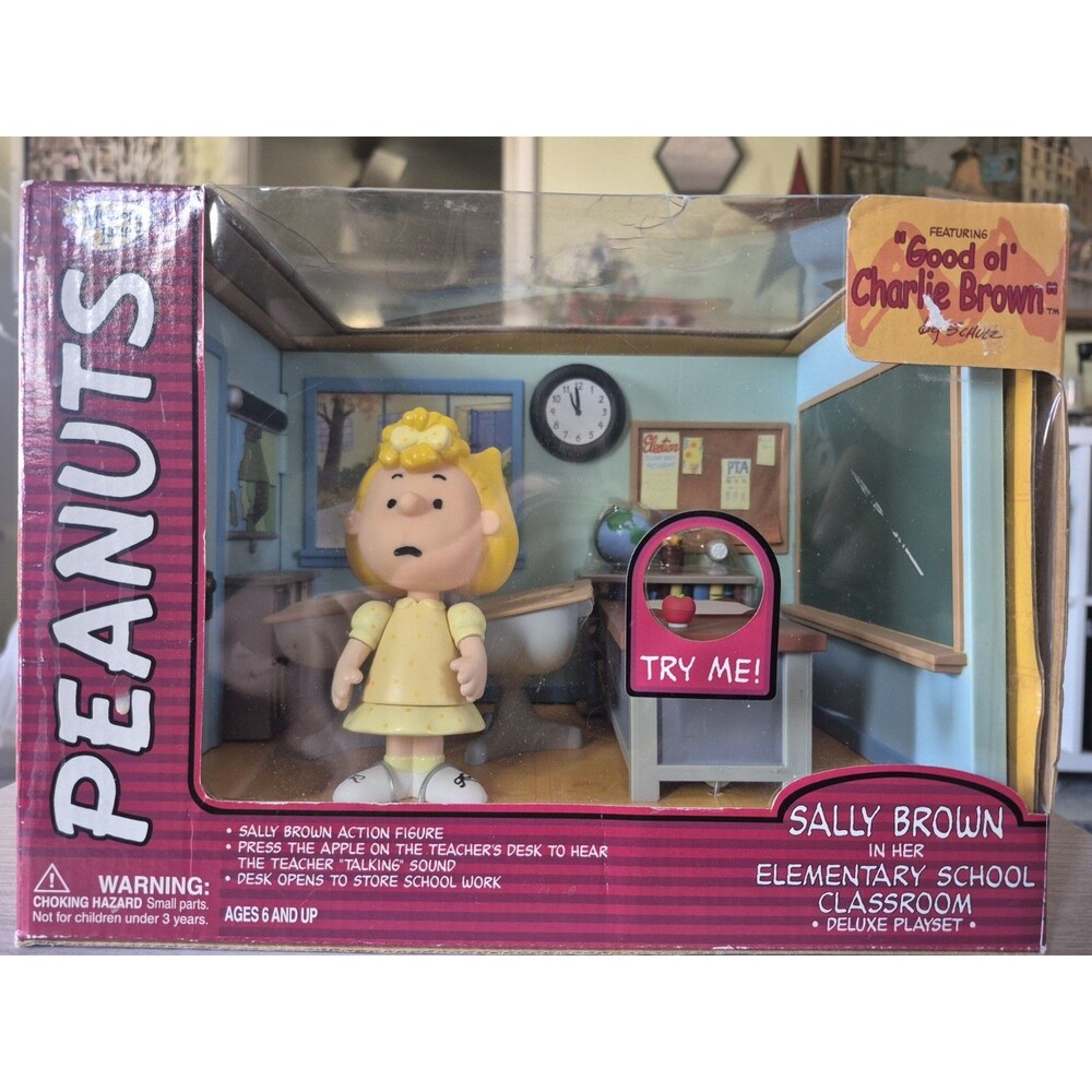 Peanuts / Snoopy Memory Lane: Sally Brown Elementary School. See photos